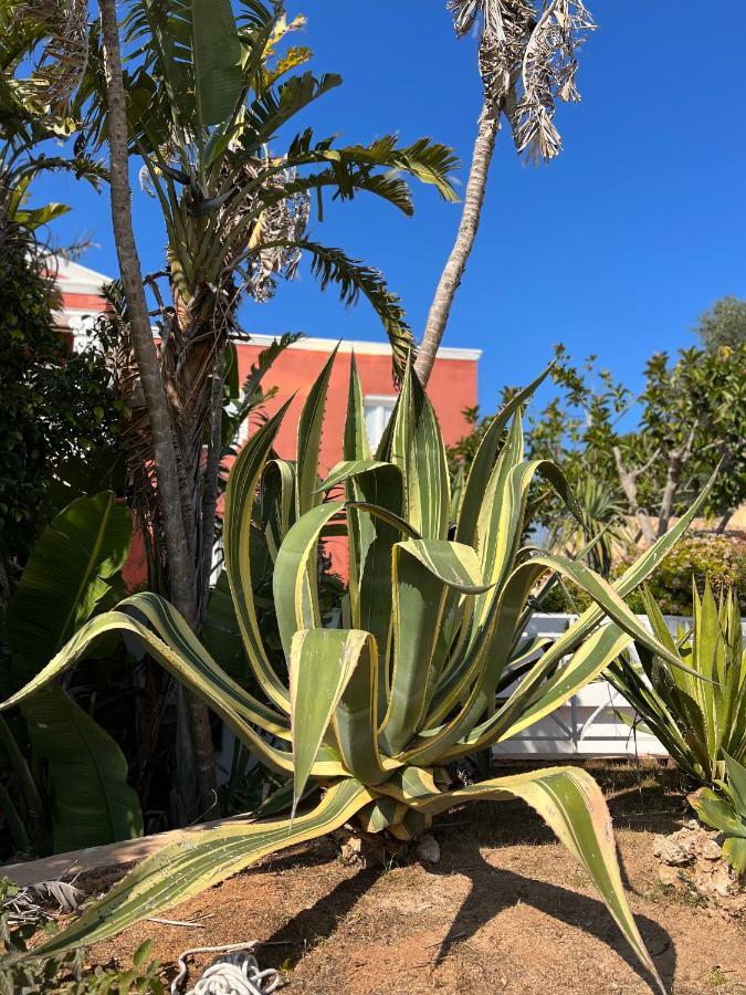 Apartament Bungalow Tropical Nº6 - Son Xoriguer Zewnętrze zdjęcie